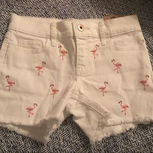 Girls flamingo Shorts